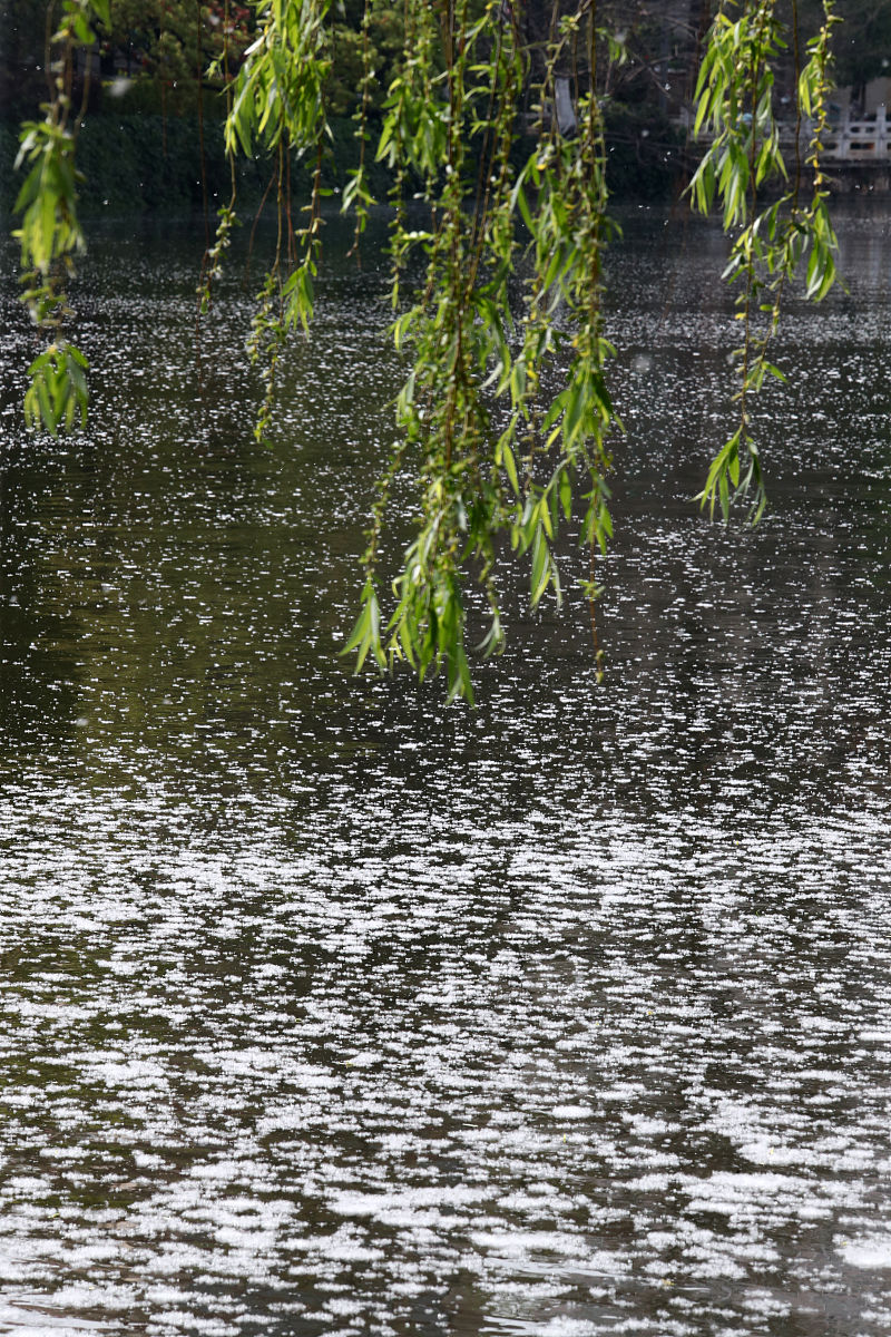 金蟾啮锁烧香入,玉虎牵丝汲井回