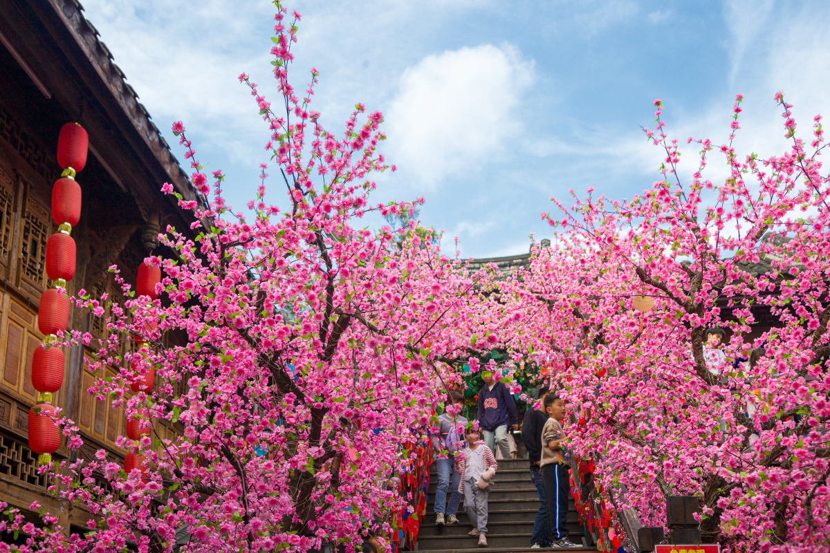 常山桃花源景区简介图片