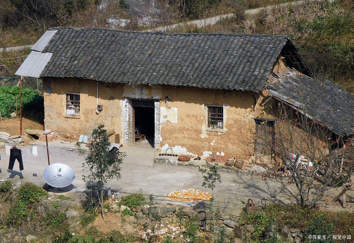 我把孙子照看到上小学,准备享清福的时候儿媳却让我搬出去住