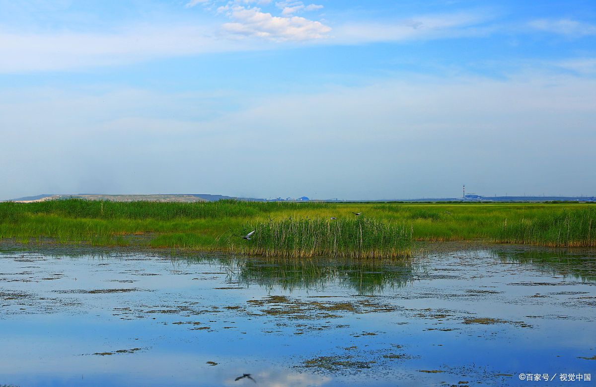 巴彦淖尔河套平原,湿地与候鸟的生态宝藏!