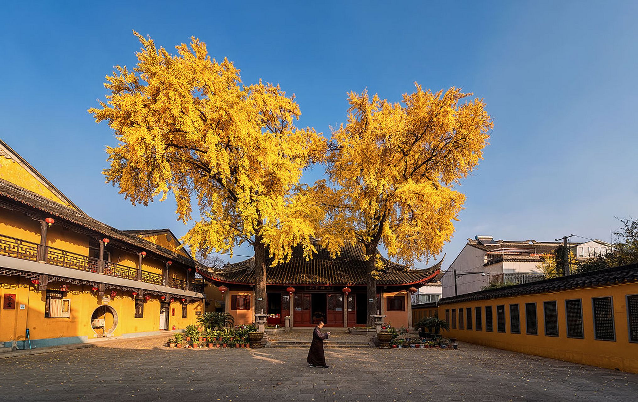 西安古观音禅寺图片