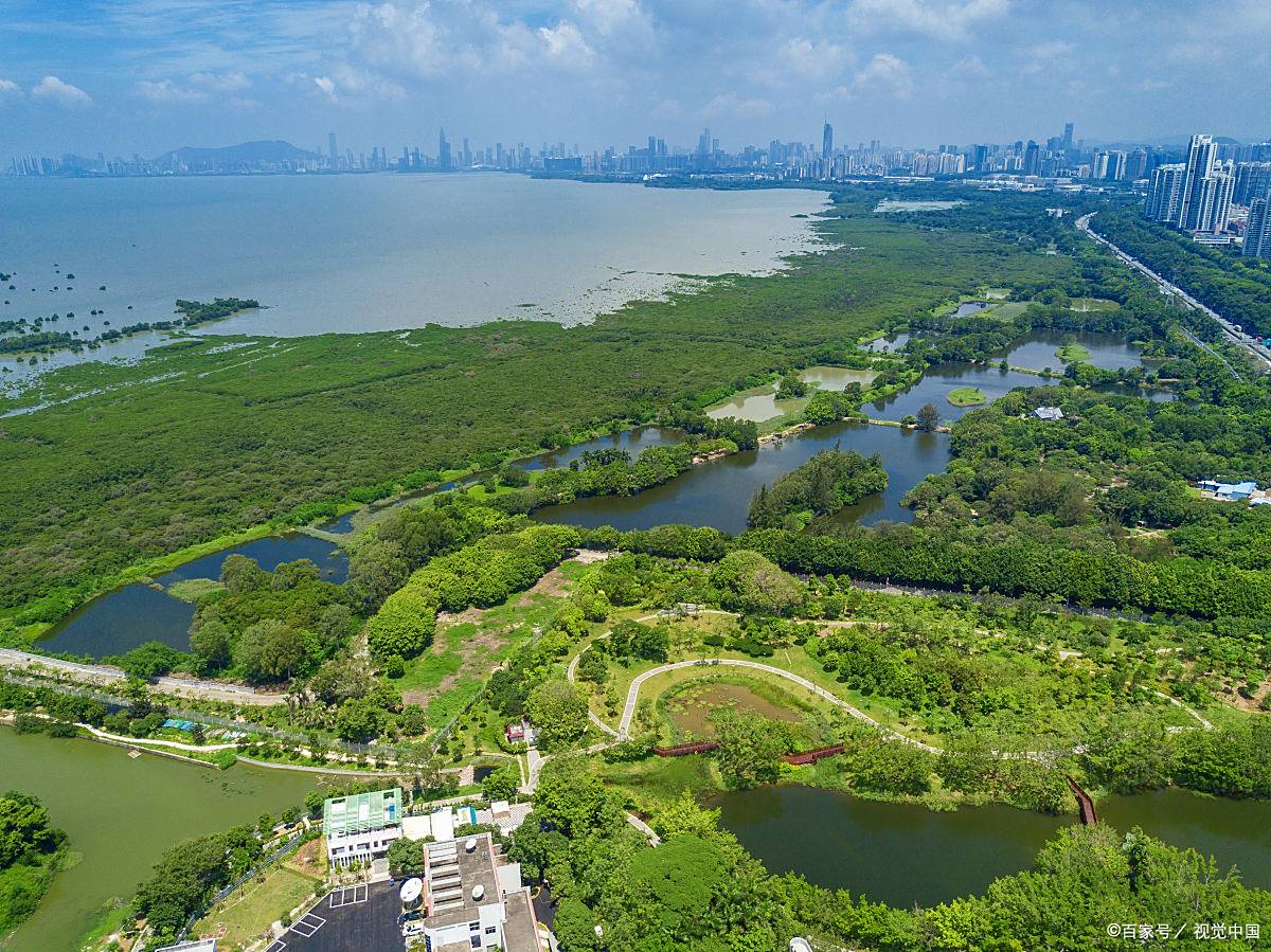 珠- 热门商品专区