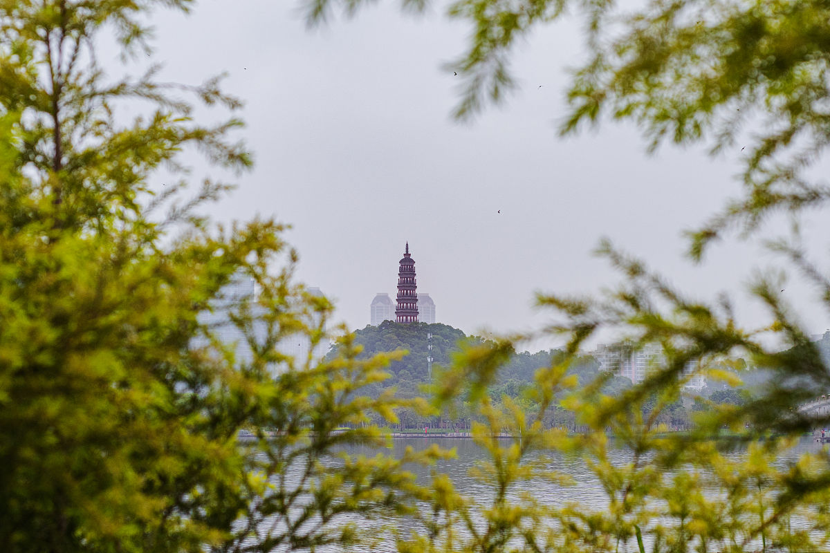 顺峰山公园有哪些景点图片