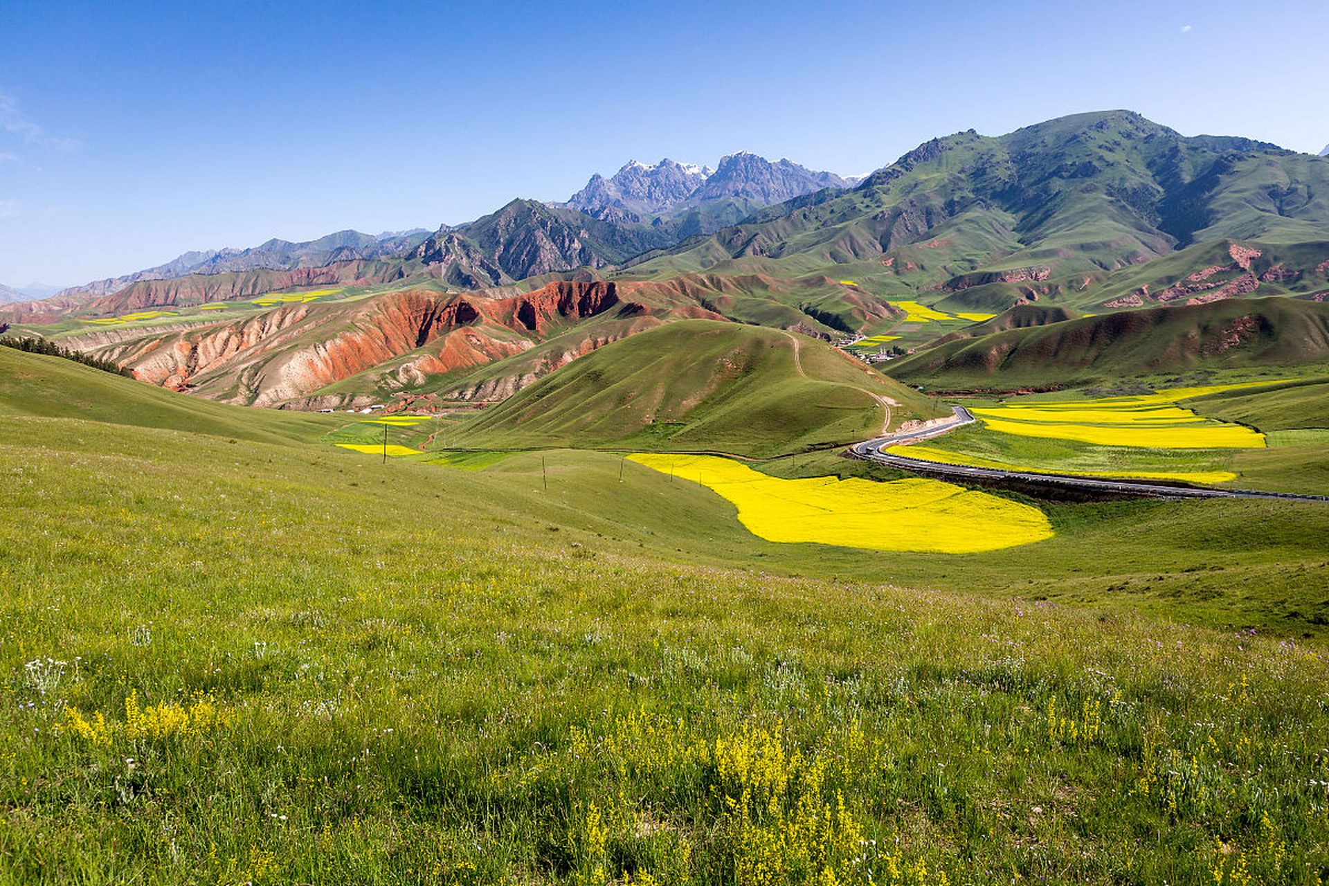 祁连山草原,位于中国青海省海北藏族自治州祁连县,是中国最美的草原之