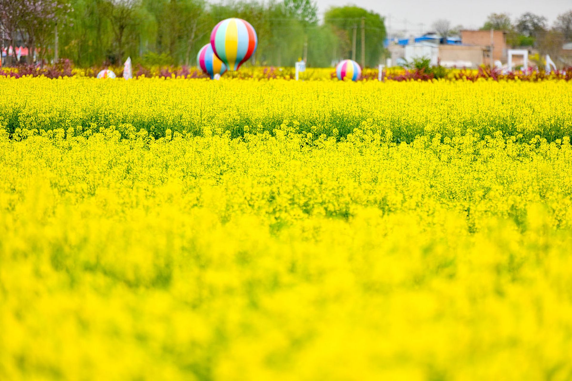 潼南油菜花景区,位于重庆市潼南县崇龛镇,每年春季都吸引着众多游客前