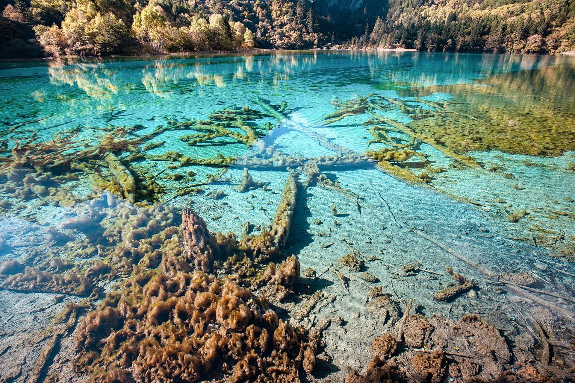 九寨沟五花海照片图片