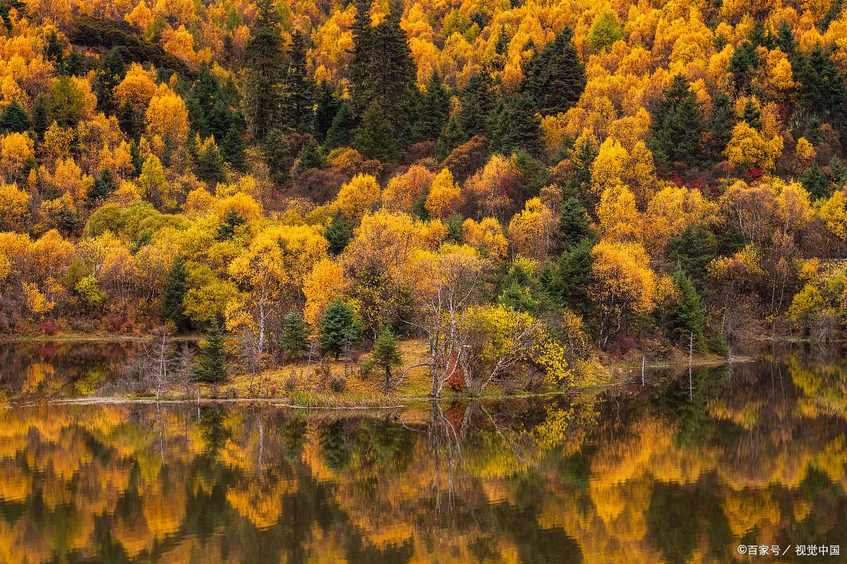 香格里拉普达措秋色,九月层林尽染美如画!