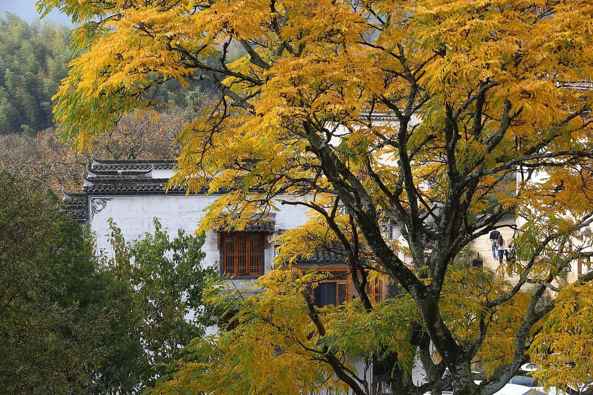 安徽塔川景区图片