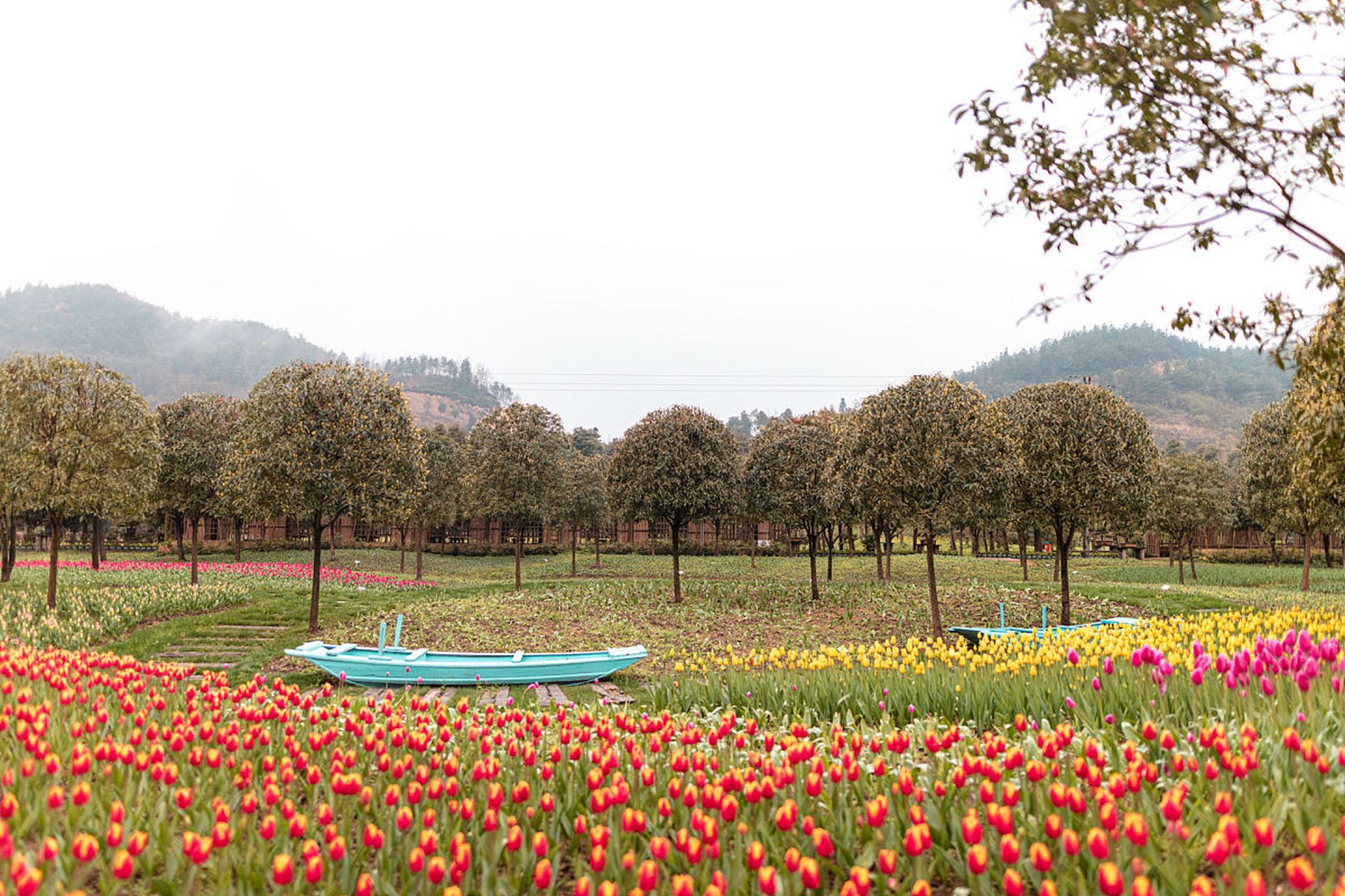五一畅游武汉:探秘秀山生态园,品味武大书香,登顶木兰山,尝遍地道小吃