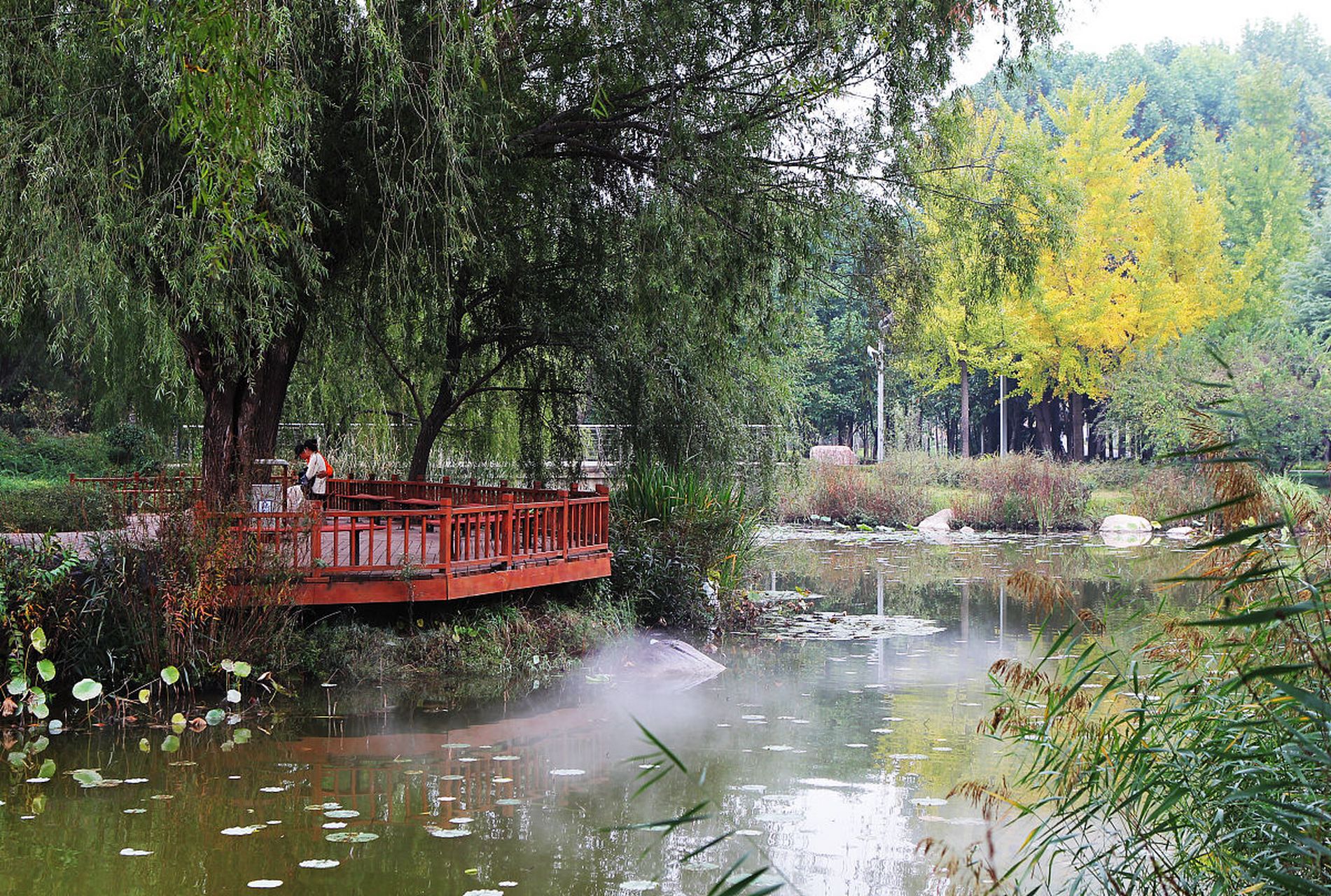 我踏上了前往河南南水北调天河公园的旅程,简直像是走进了一幅美丽的