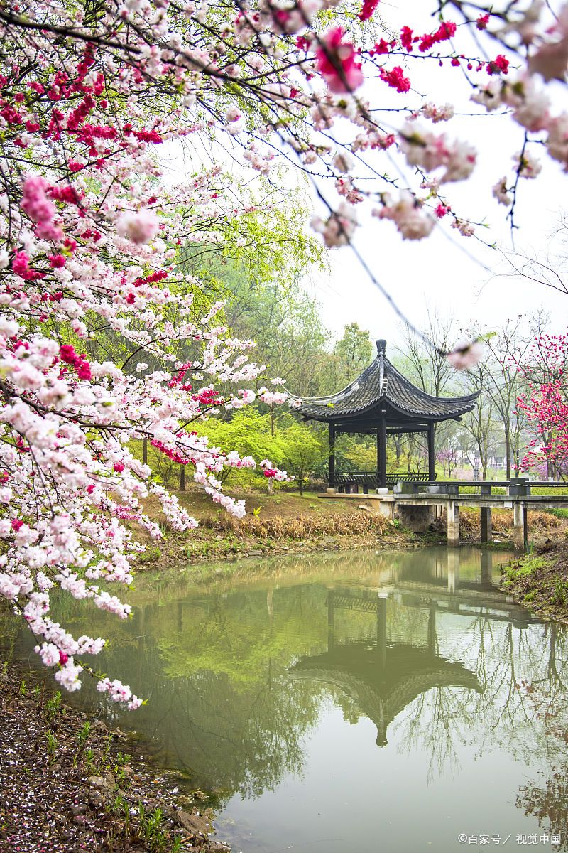 西湖美景探幽:杭州的明珠,浙江的骄傲