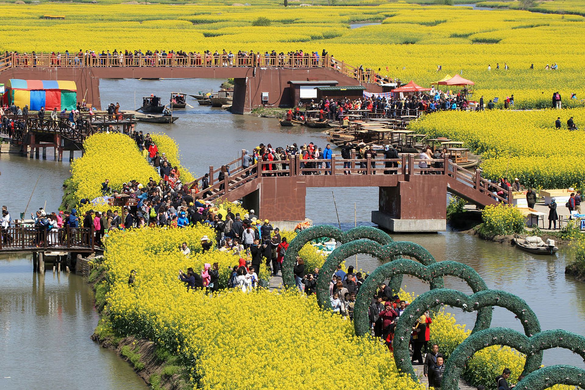 泰州市兴化市缸顾乡东旺村,一处被誉为"天然氧吧"的千垛景区,最近掀起
