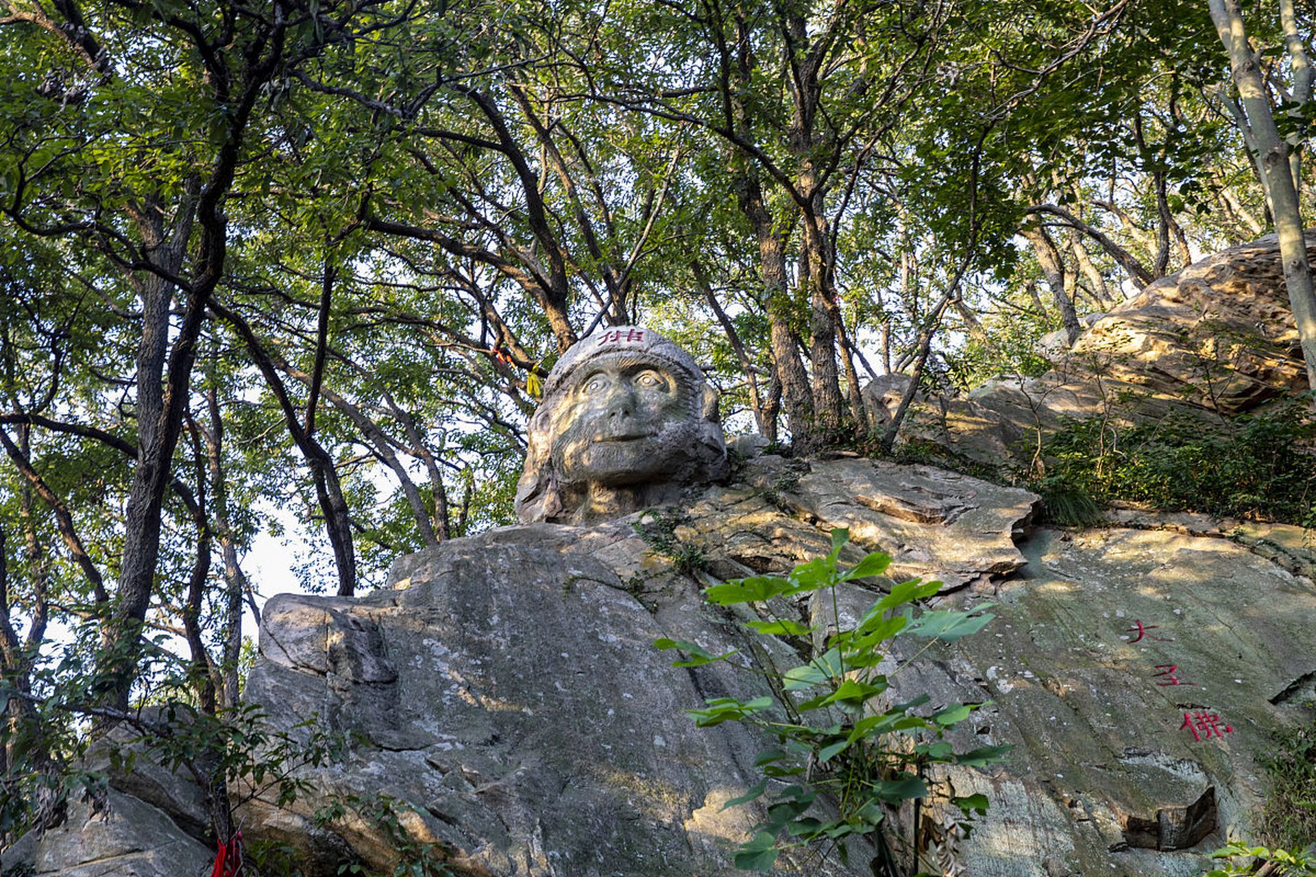 连云港花果山:追寻孙悟空的仙踪灵迹9992  连云港的花果山,一个听