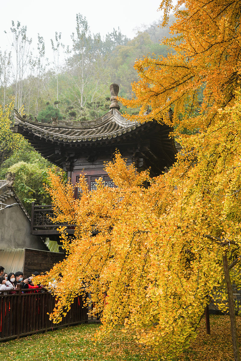 西安古观音禅寺图片图片