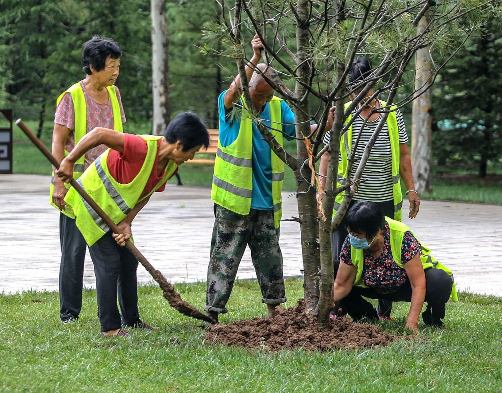 90后小伙弃25万年薪做绿化工# 90后小伙放着25万年薪的工作不要,转行