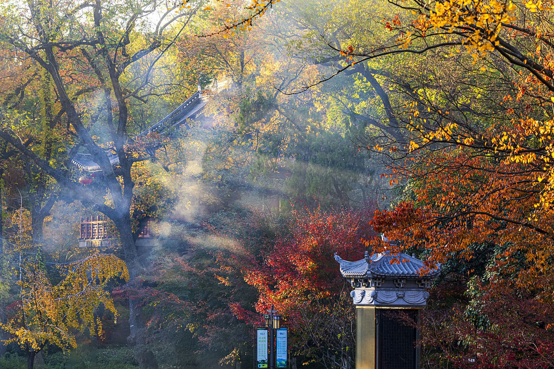 栖霞山风景区集自然风光,历史文化,美食于一体,山峰巍峨,景色壮美