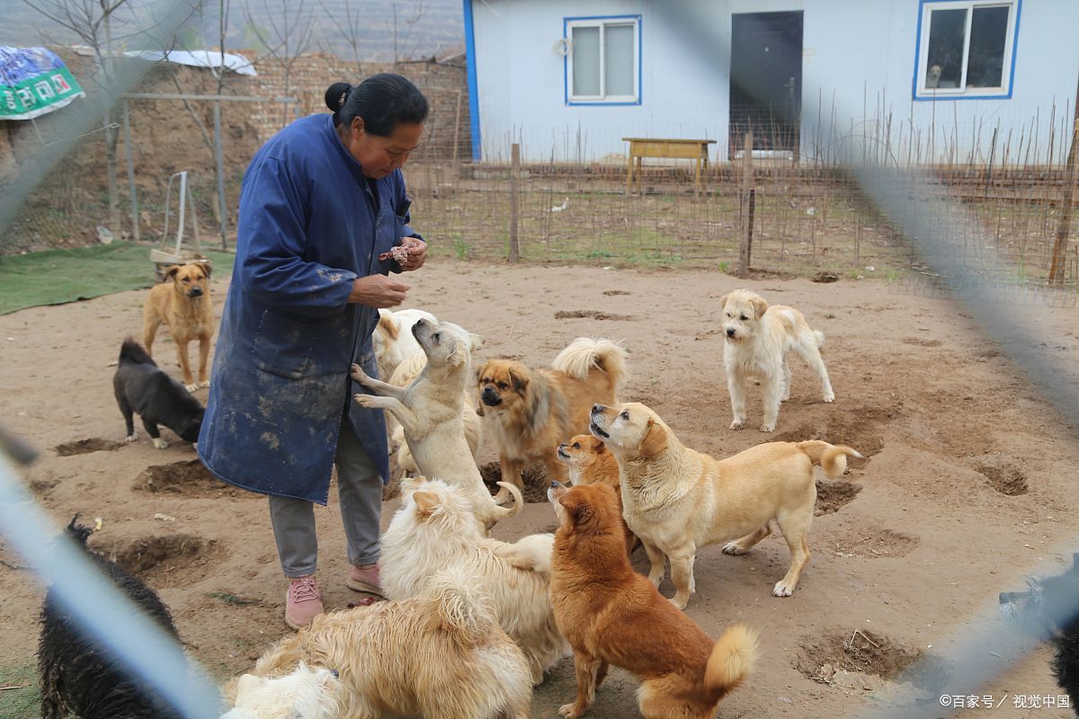 们,今天咱们来聊聊一个既接地气又略带趣味的话题