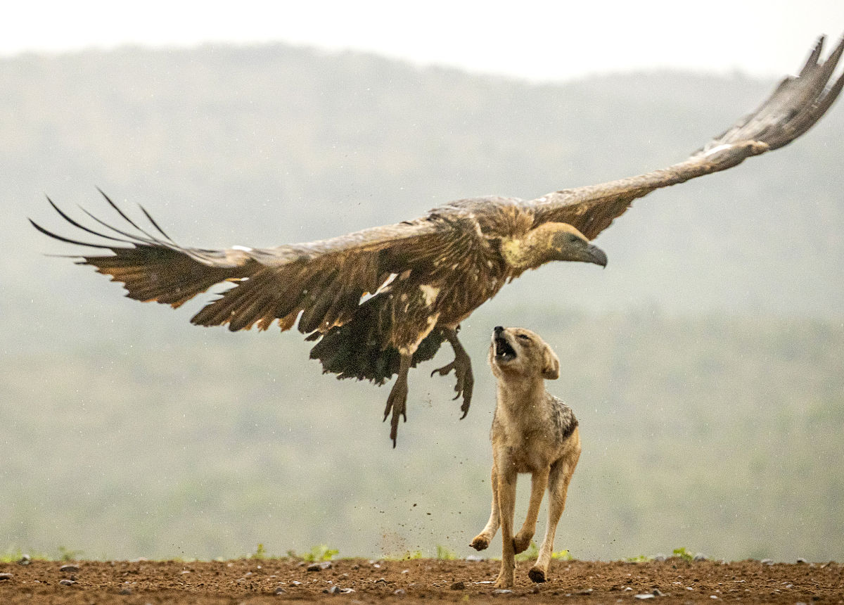 以下是一些有效的方法和技巧: 1