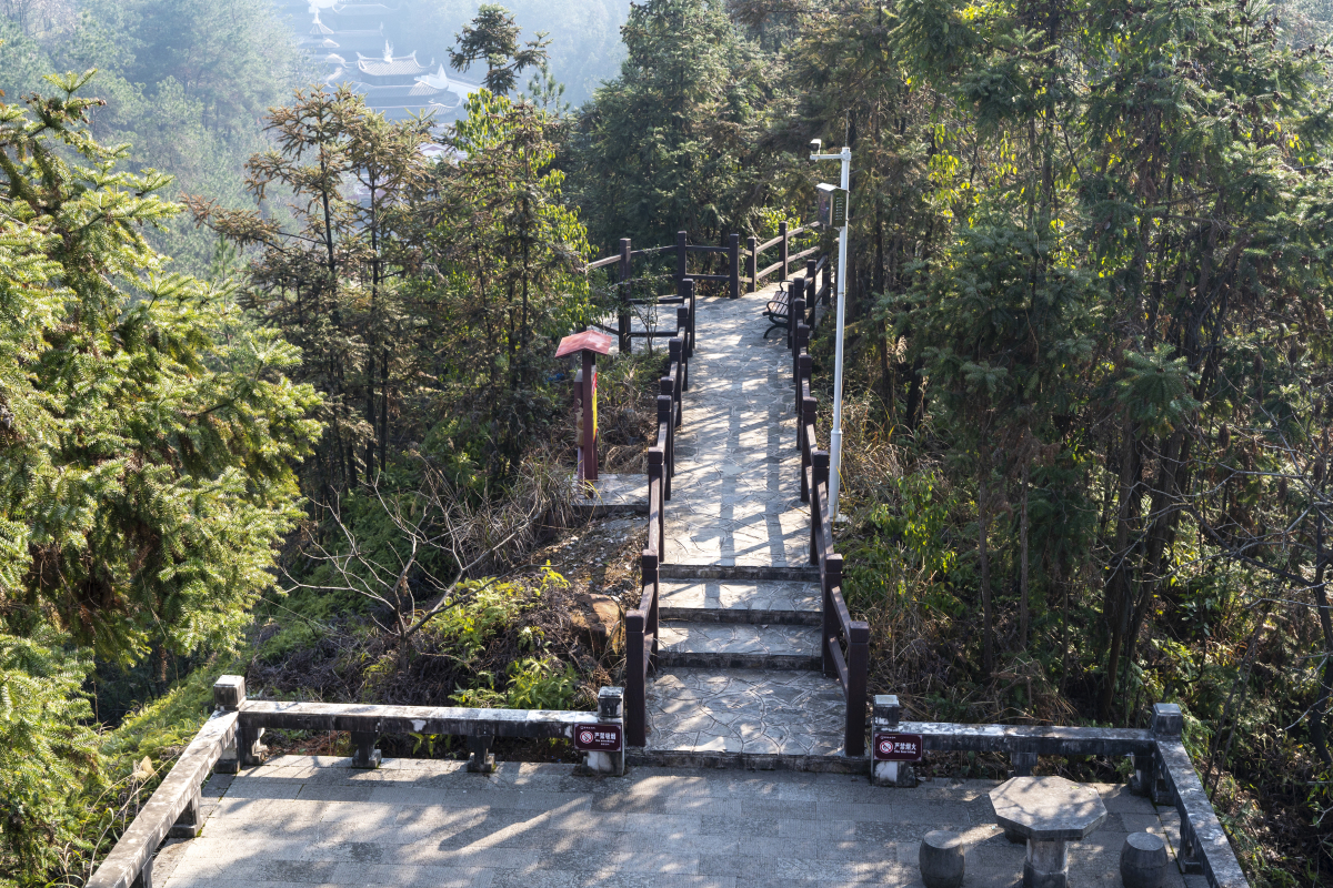 谢岗镇银瓶山森林公园图片