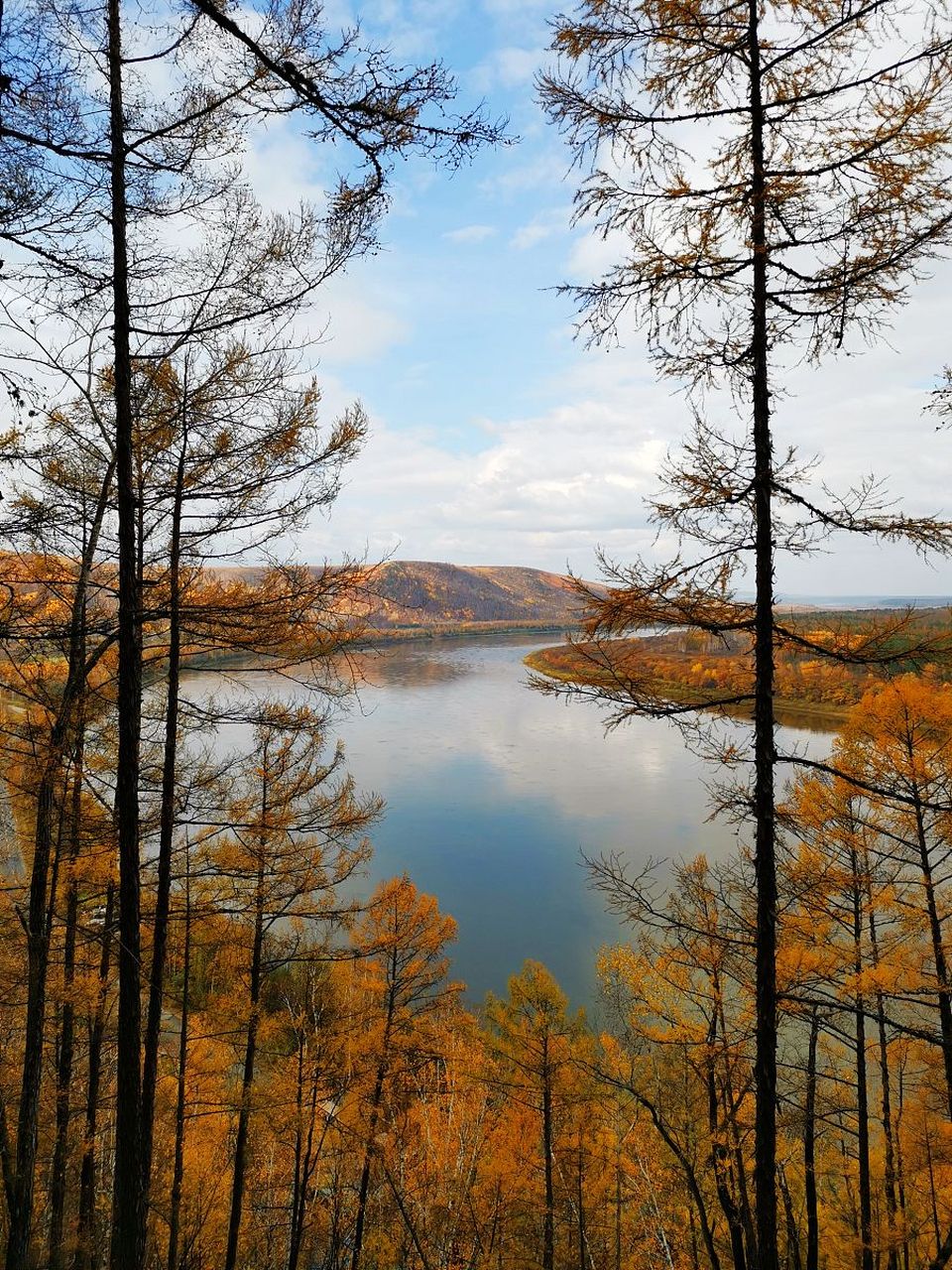 兴凯湖湿地公园:是一个集自然保护,生态旅游和科学研究为一体的综合