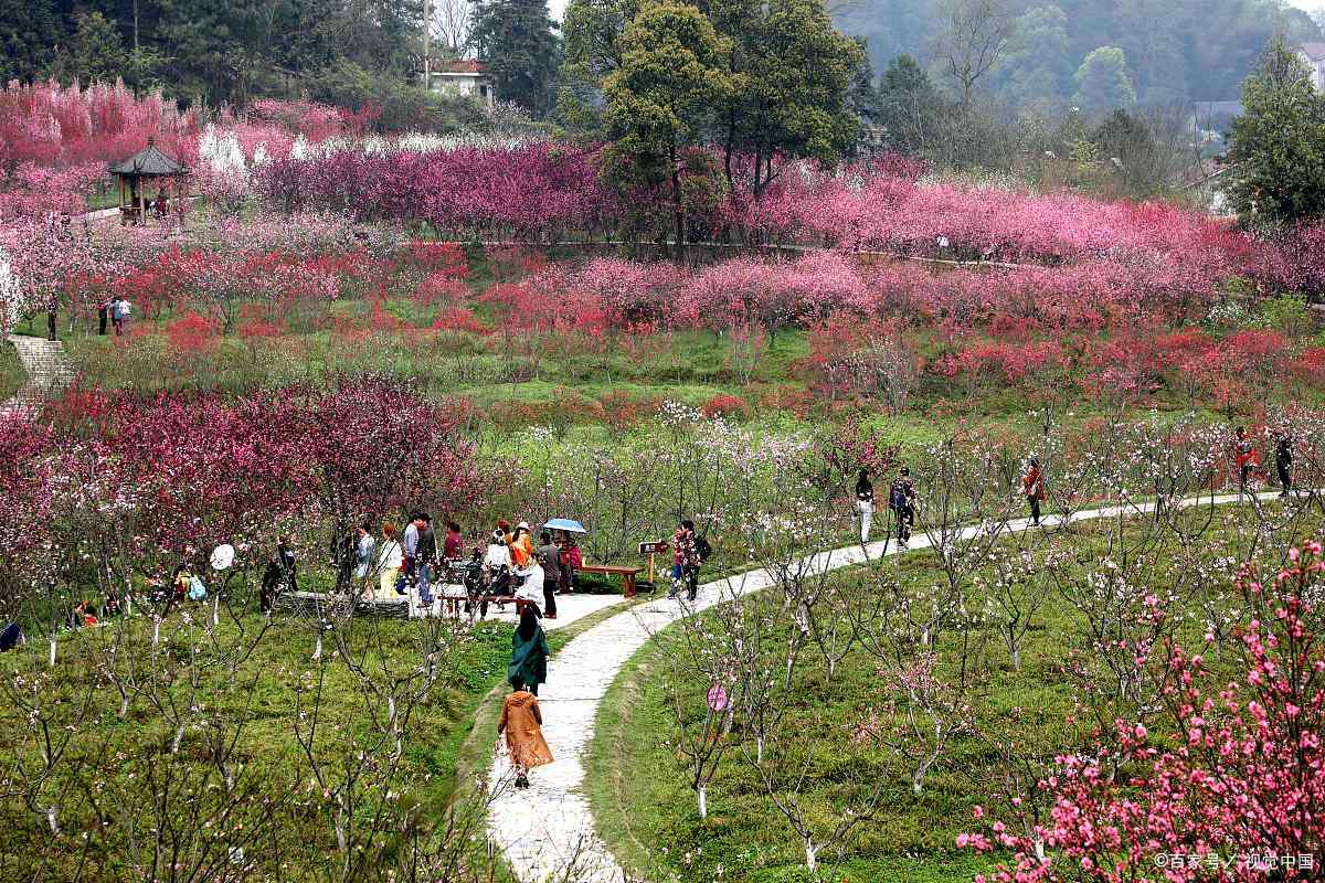 市坪桃花源景区图片