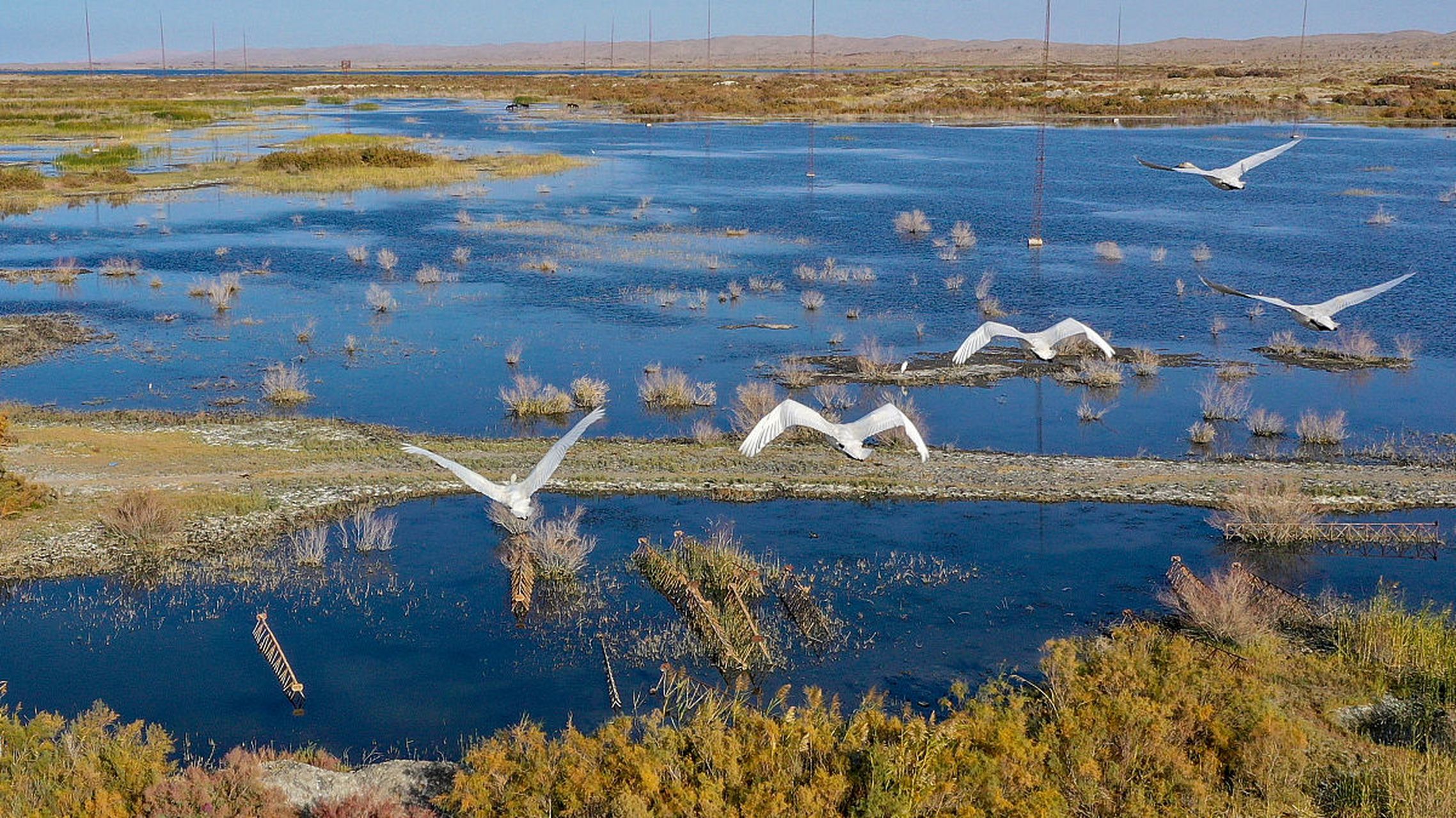 今天我们来探索位于内蒙古阿拉善左旗的阿拉善腾格里沙漠天鹅湖风景区