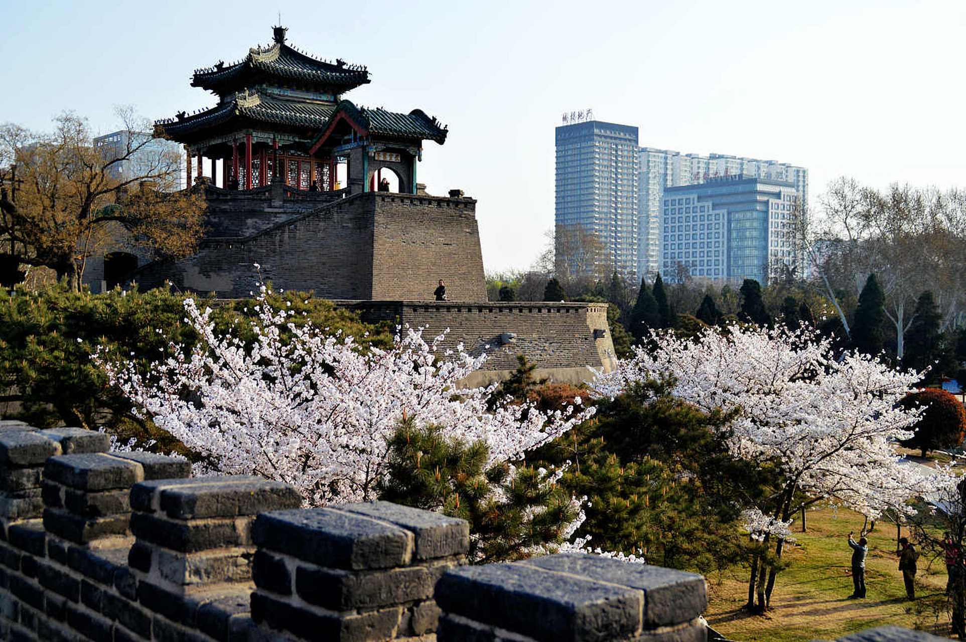 丛台公园是邯郸市最著名的公园之一,也是秋季旅游的热门景点.