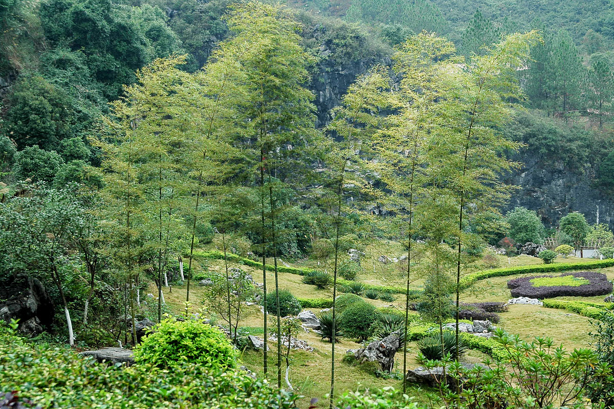 清远连州的地下河,北江上的飞来峡可谓人间美境