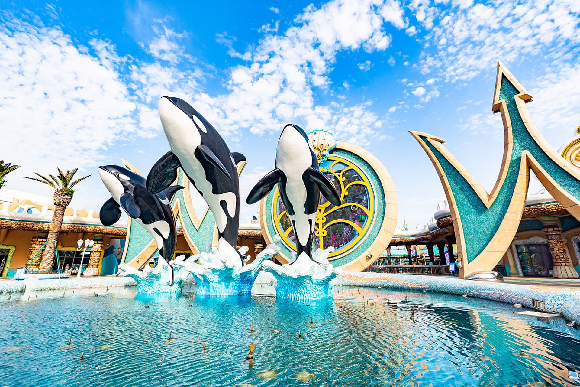 来我的城市过七夕#七夕将至,七星海世界,邀您一同探索海洋奇妙之旅!