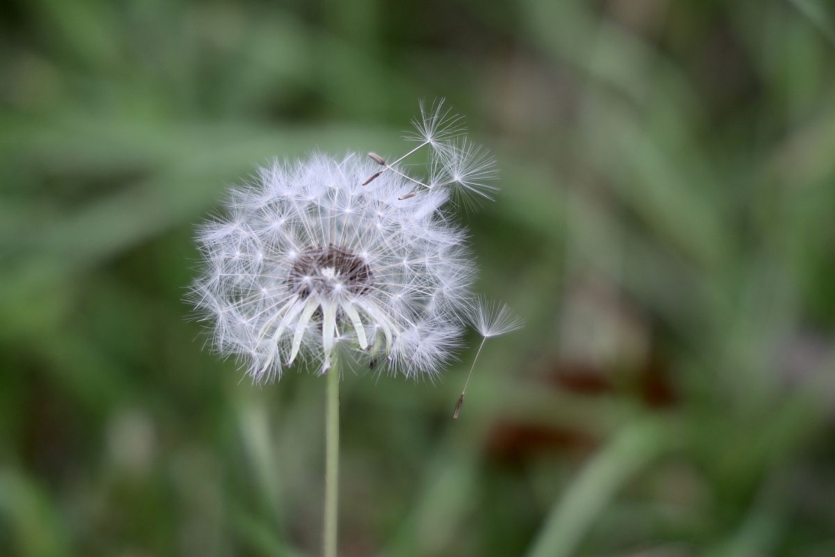 当一个家庭的家风开始整顿了之后,变好了起来,变得