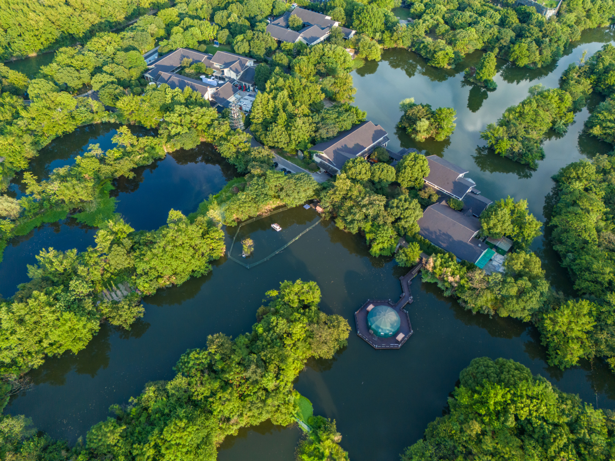 来到杭州西溪湿地公园,你会发现这里是一处恬静而美丽的自然绿洲