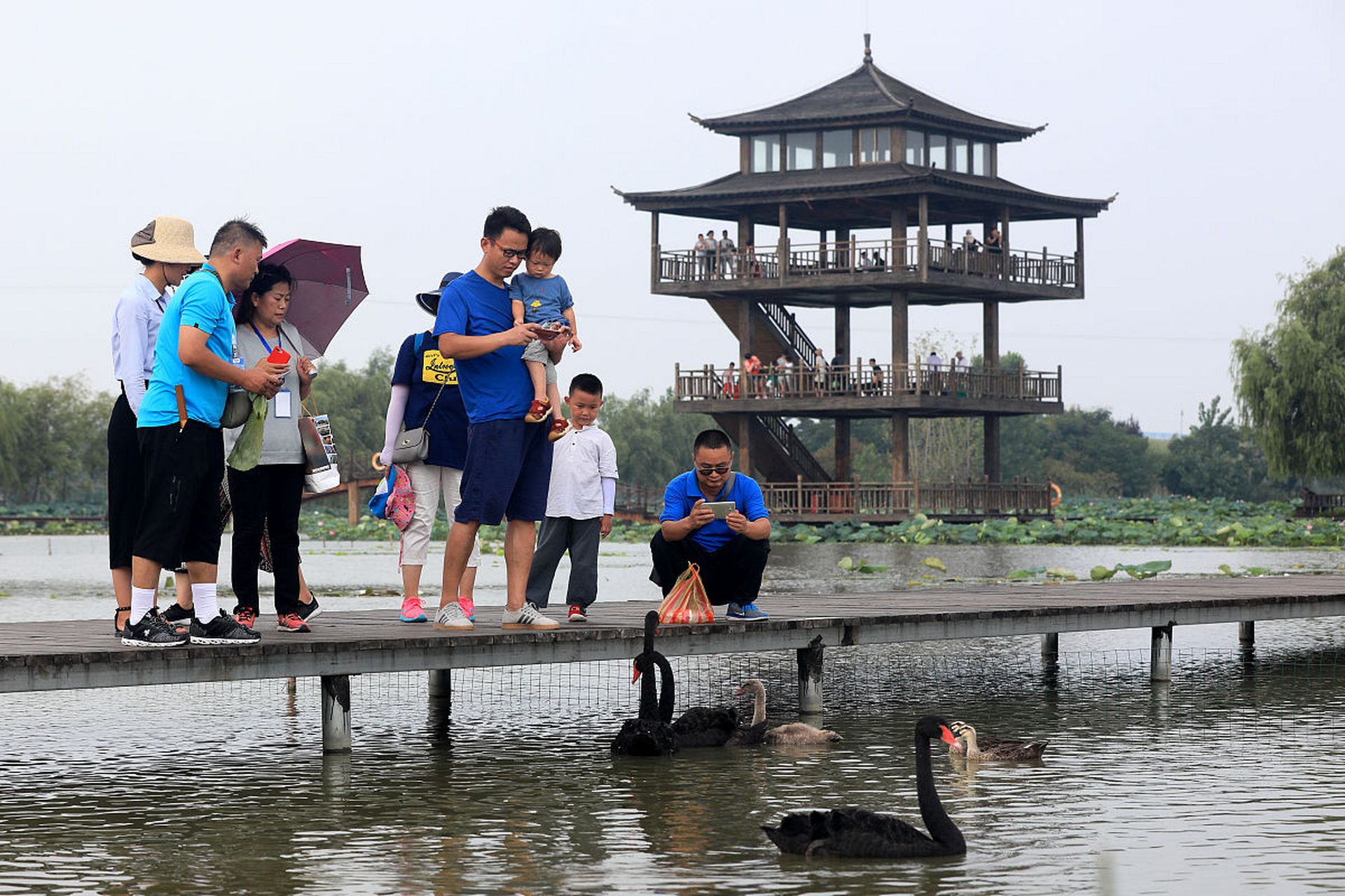 摄影爱好者来说,周末在成都想找一个公园练习拍照可以来府河摄影公园