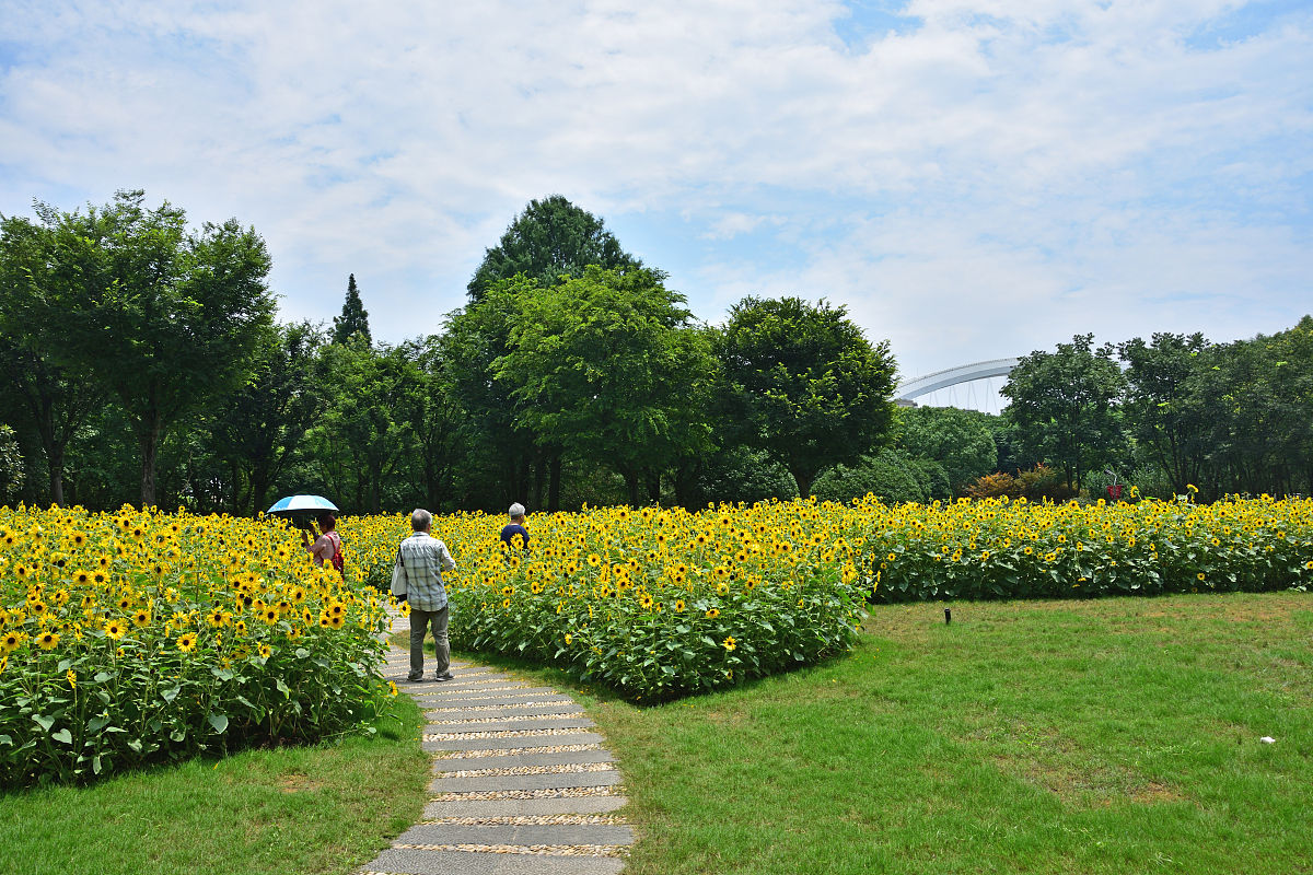 上海市徐汇滨江滑板公园一处极为诱人的旅游休闲地