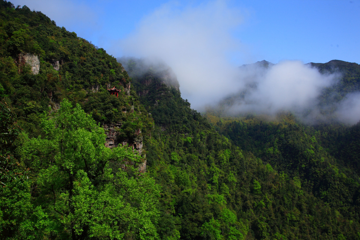 吉安有什么景点