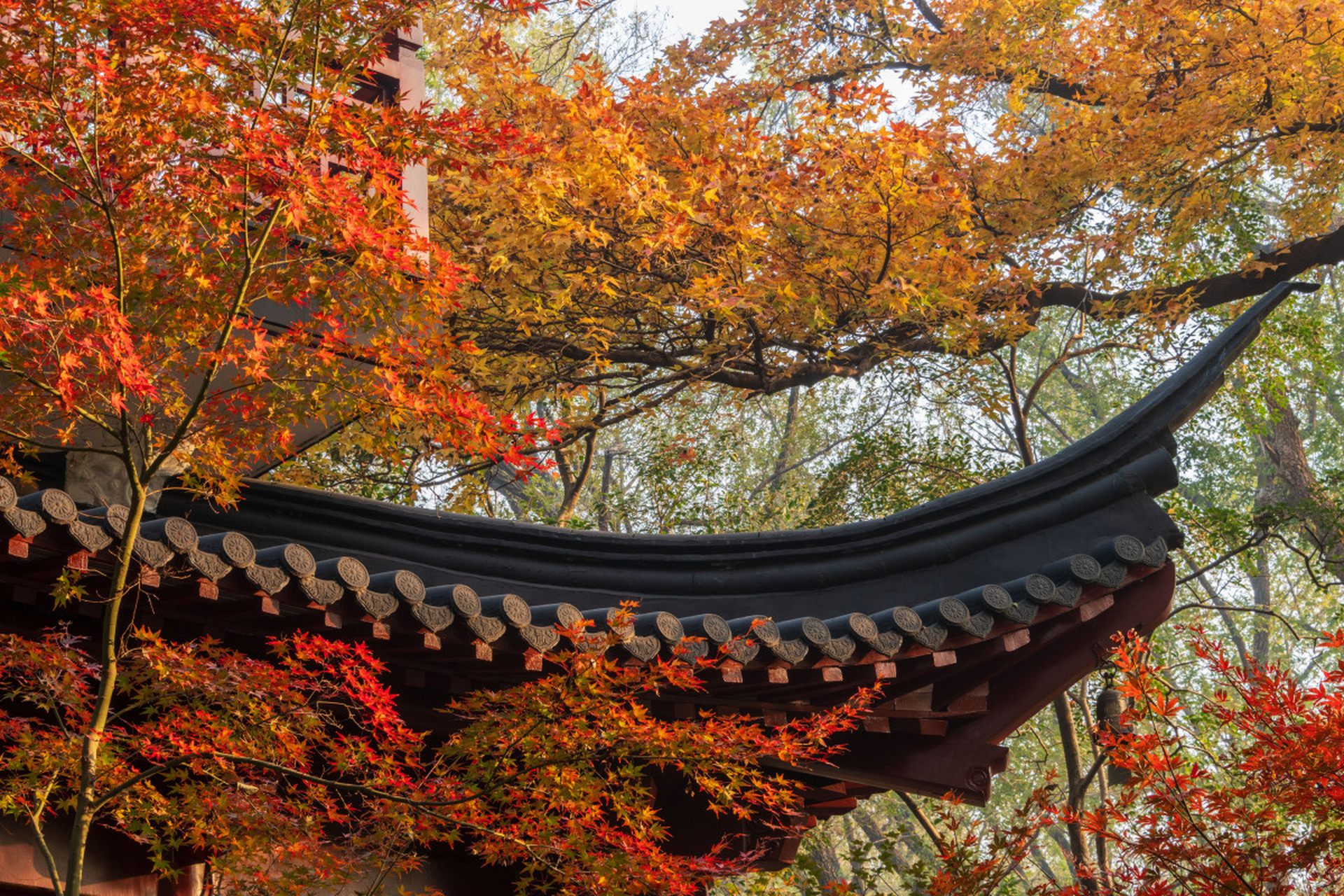 栖霞区是南京风景秀美,历史悠久的区域,汇聚自然之美和丰富的历史文化