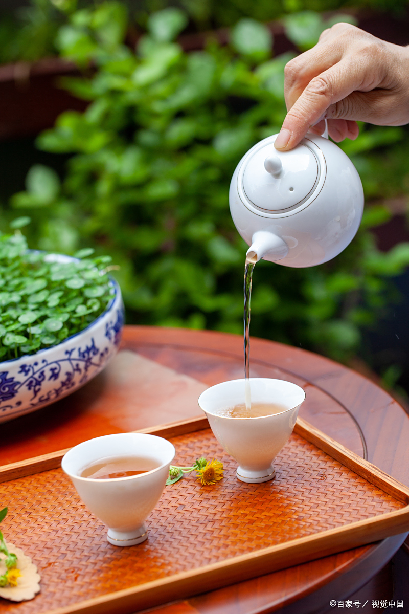 普洱茶,洗茶是必需之举吗?
