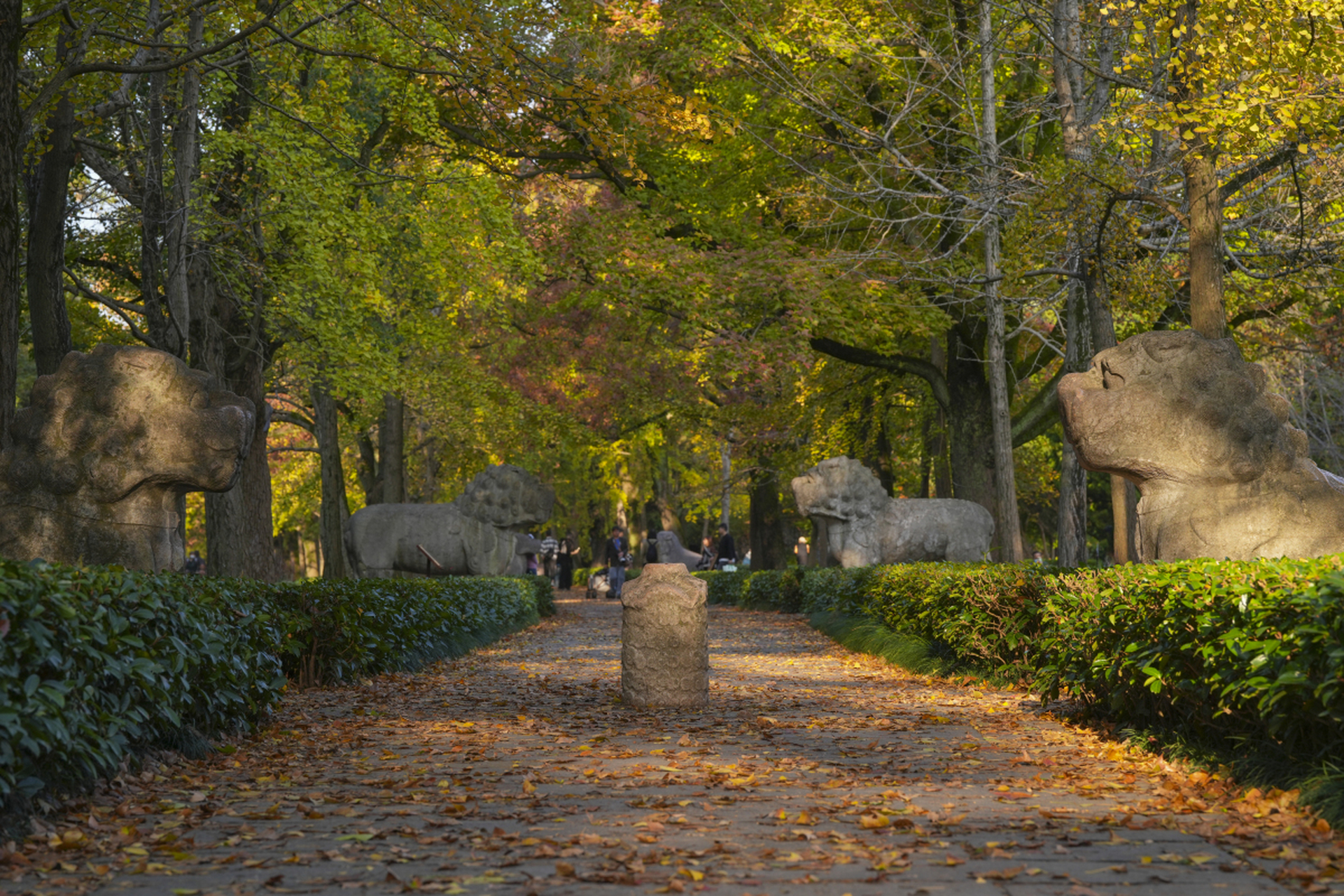 南京紫金山陵墓图片