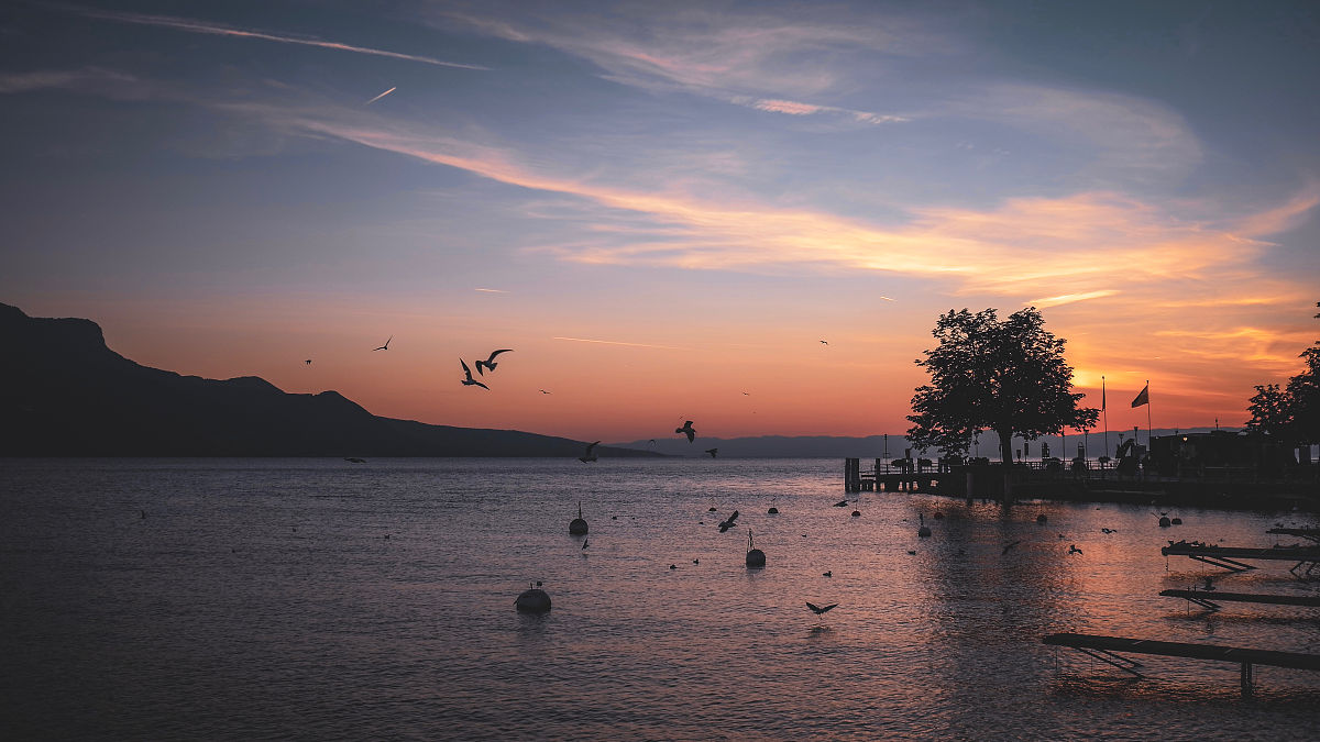 秋天给人们带来了一种宁静和安逸的感觉