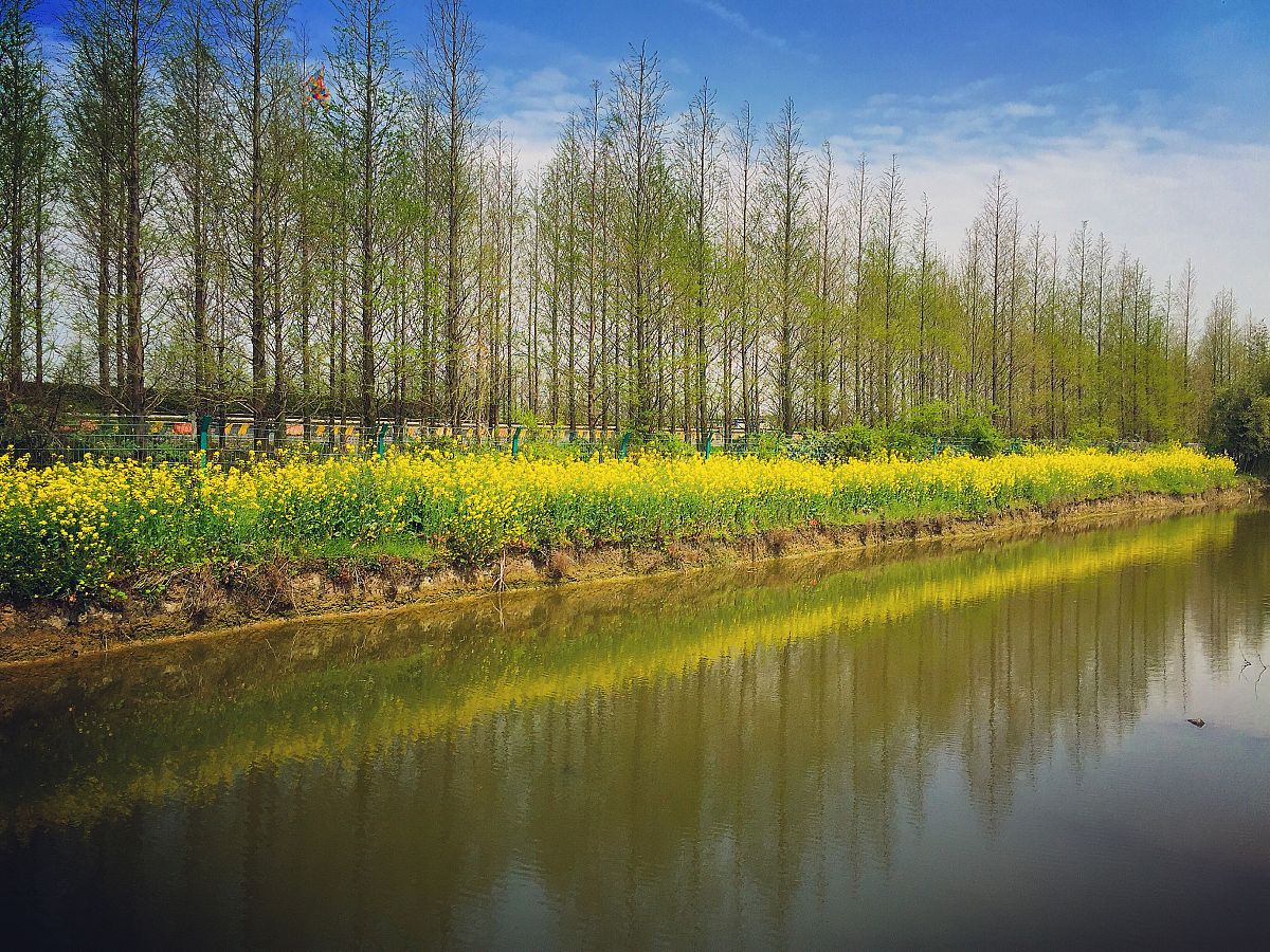 上海奉贤肖塘:美丽的乡村度假好去处