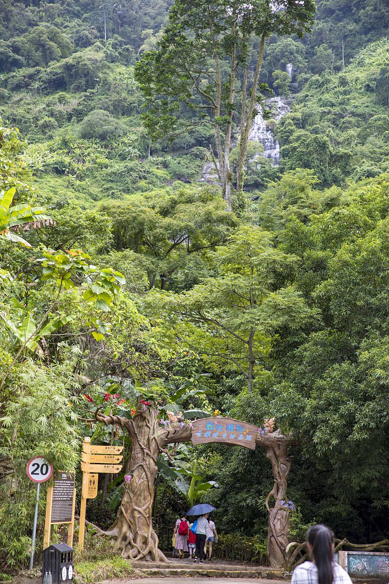 探访海南百花岭,热带雨林的壮丽景观与独特魅力