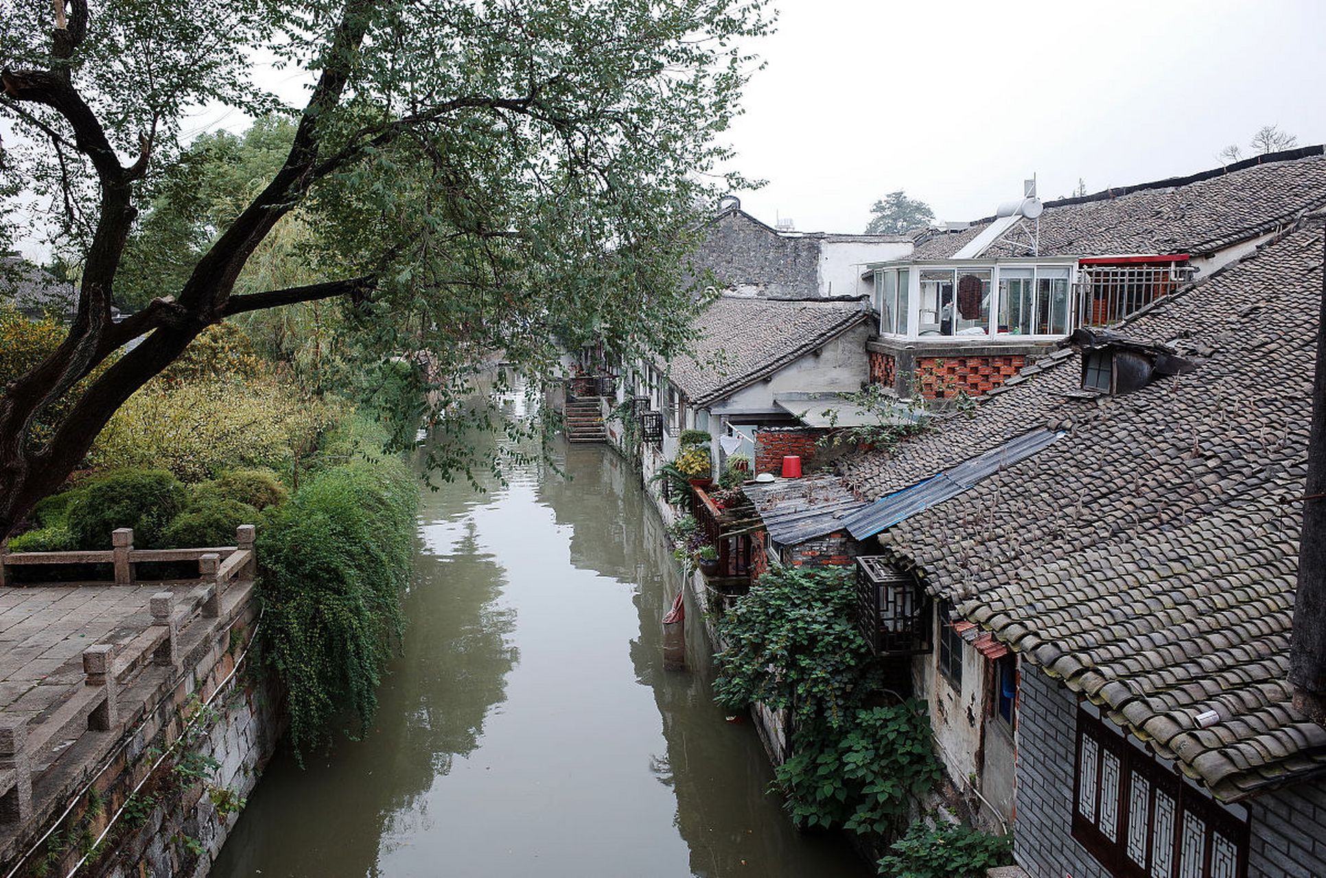嗨,小伙伴们,今天我来给你们分享一个超级赞的景点——上海枫泾古镇!