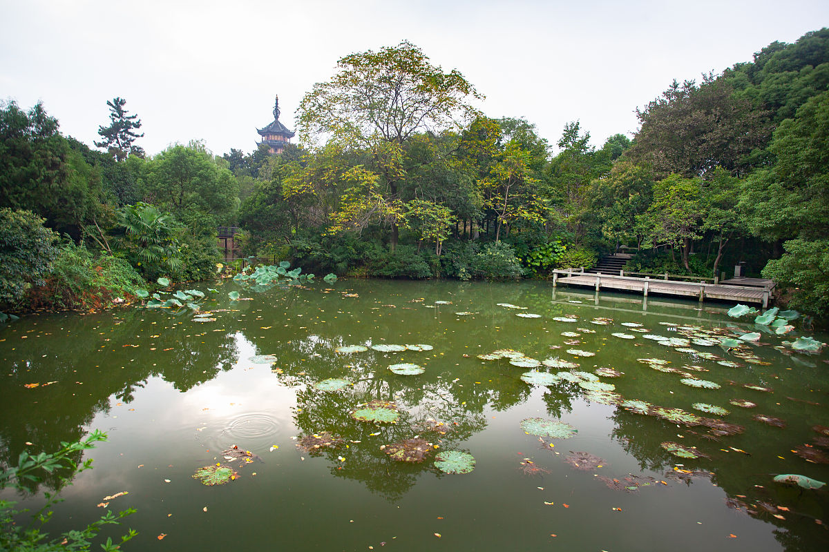 岳麓山夏天图片图片