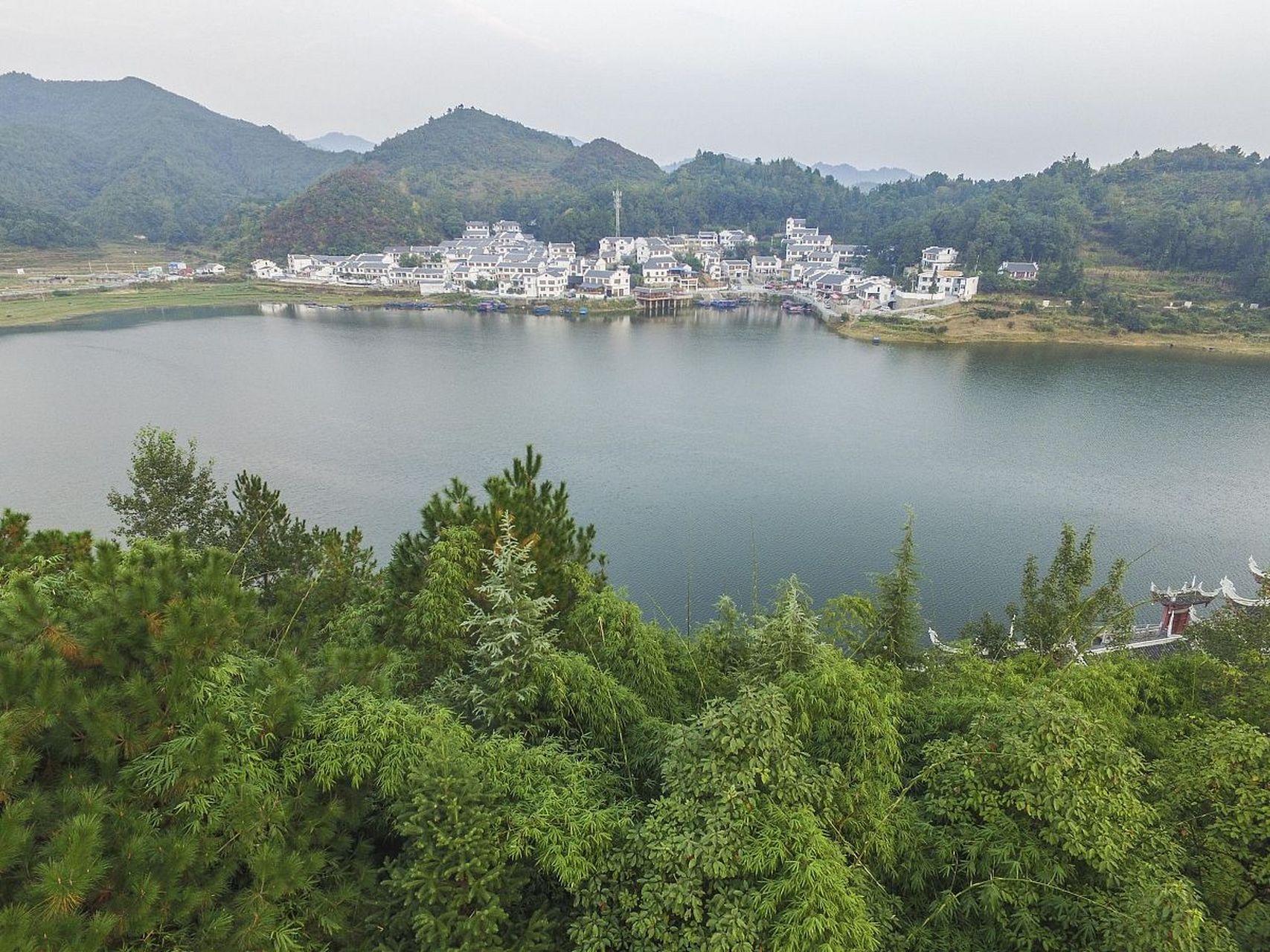 我推荐最美百花湖森林公园,在百花湖森林公园如果你从山脚登到了山顶