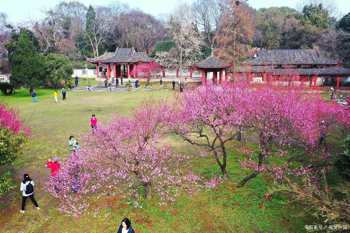 武汉东湖梅园大门图片图片