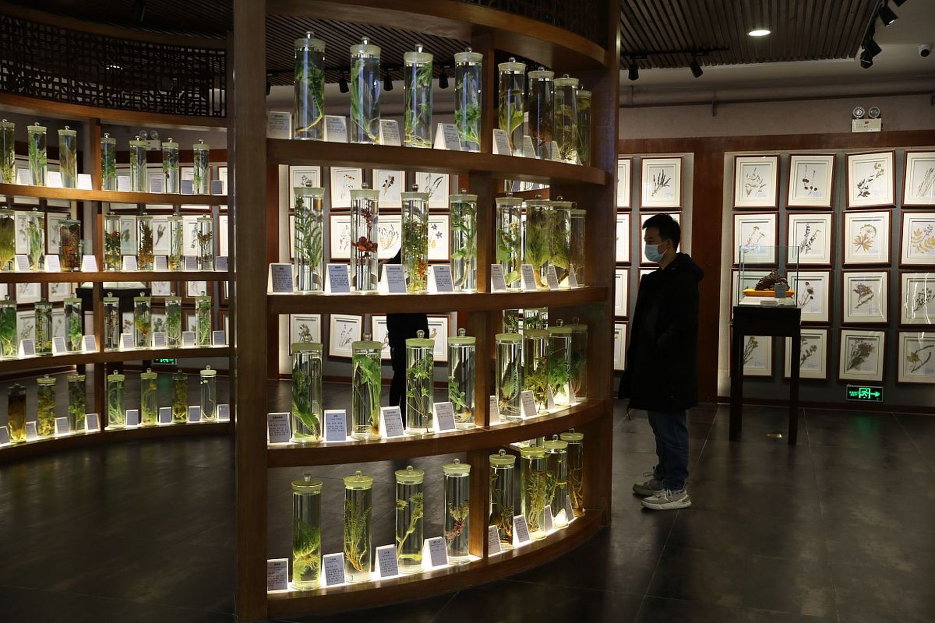 南京燕子矶中药标本馆,必游胜地!