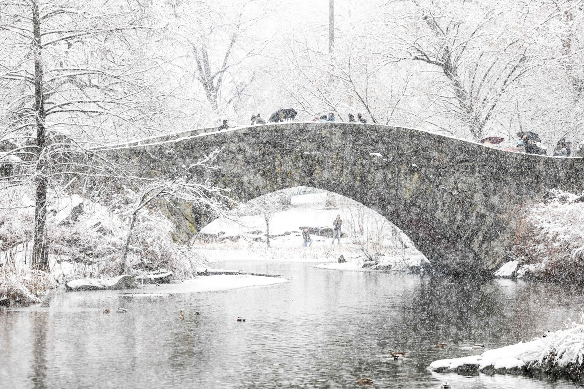 残雪风景图图片