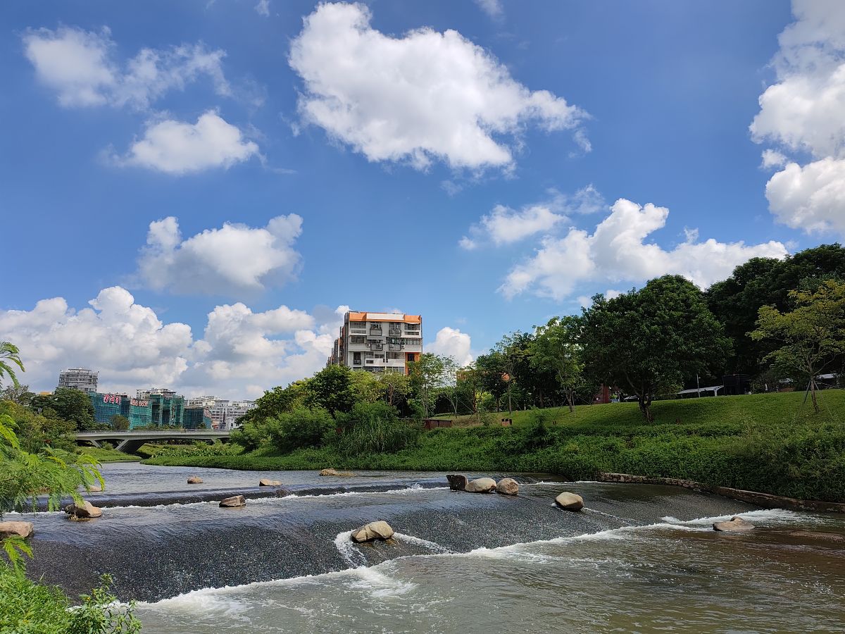 深圳南山大沙河,河水清澈风景秀丽,景观太出众了