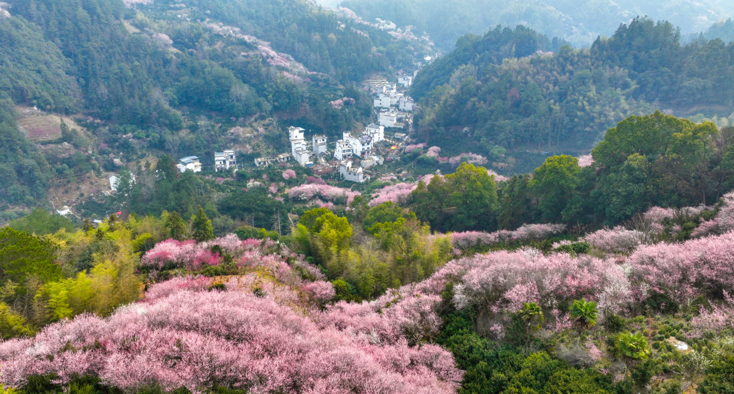 黄山卖花渔村图片图片