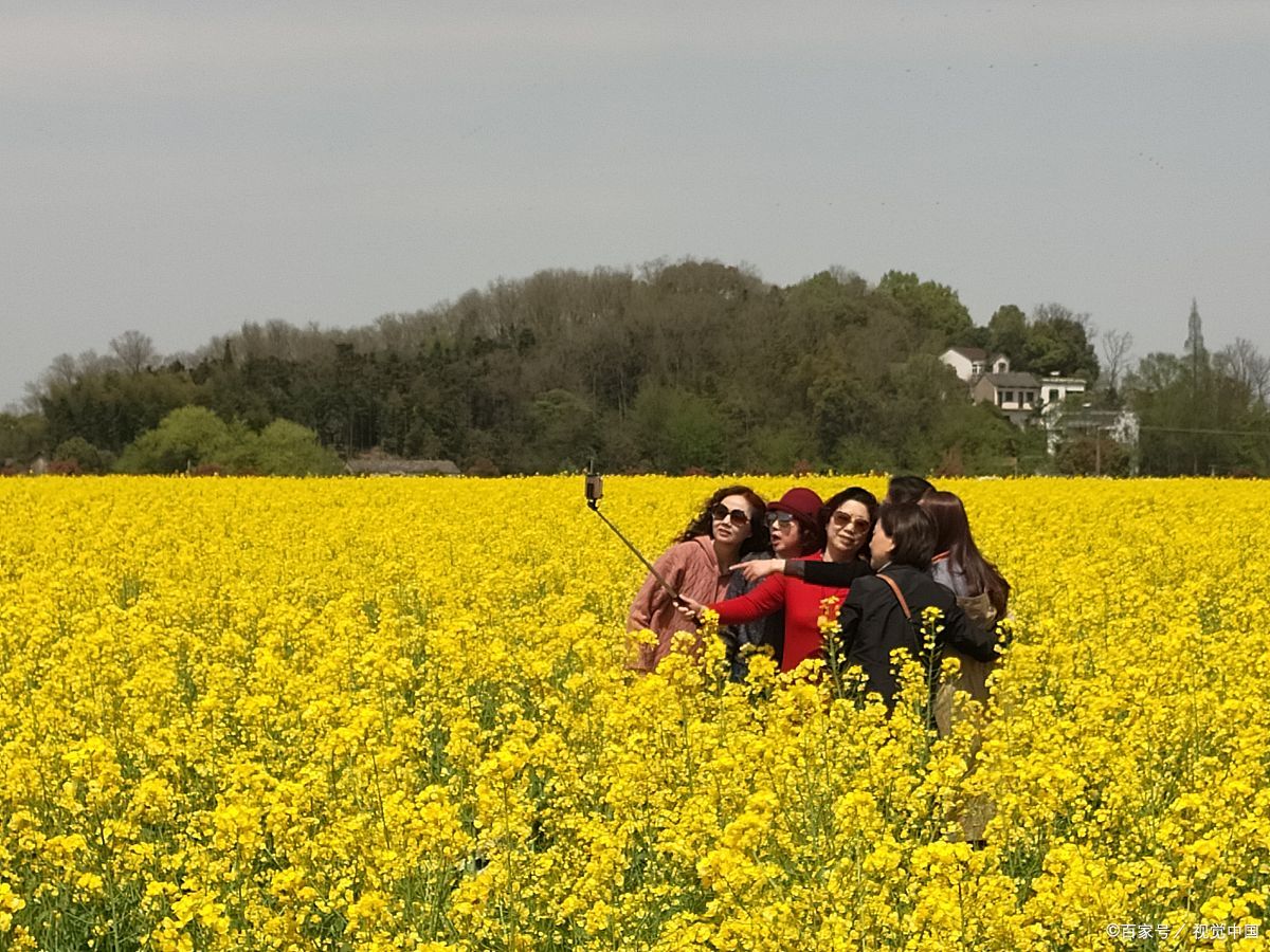 芜湖响水涧,春季油菜花与流水相映!