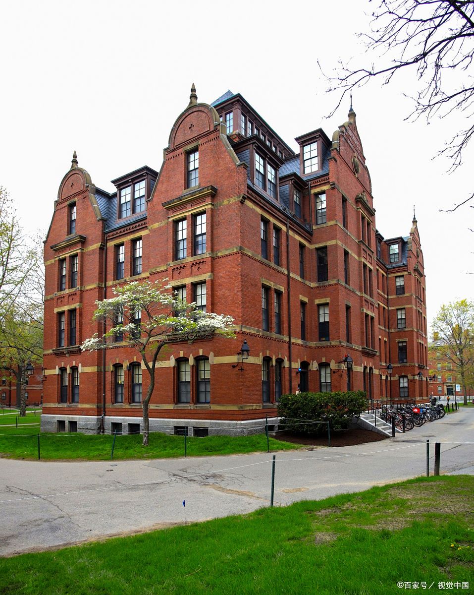 哈佛太远,请恕我无法关心你的命运 我对哈佛没有半